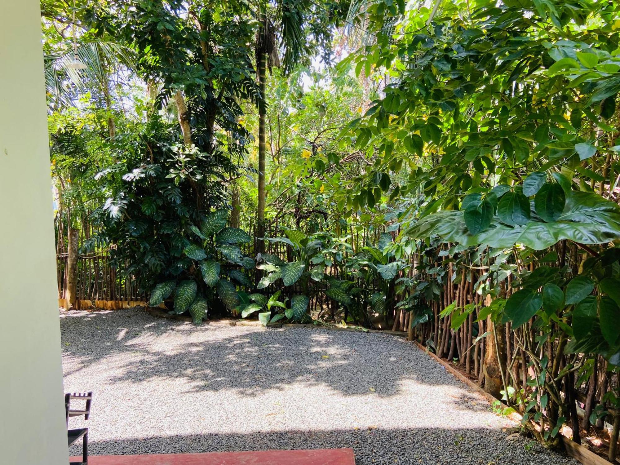 Leo Homestay Dikwella Exteriér fotografie