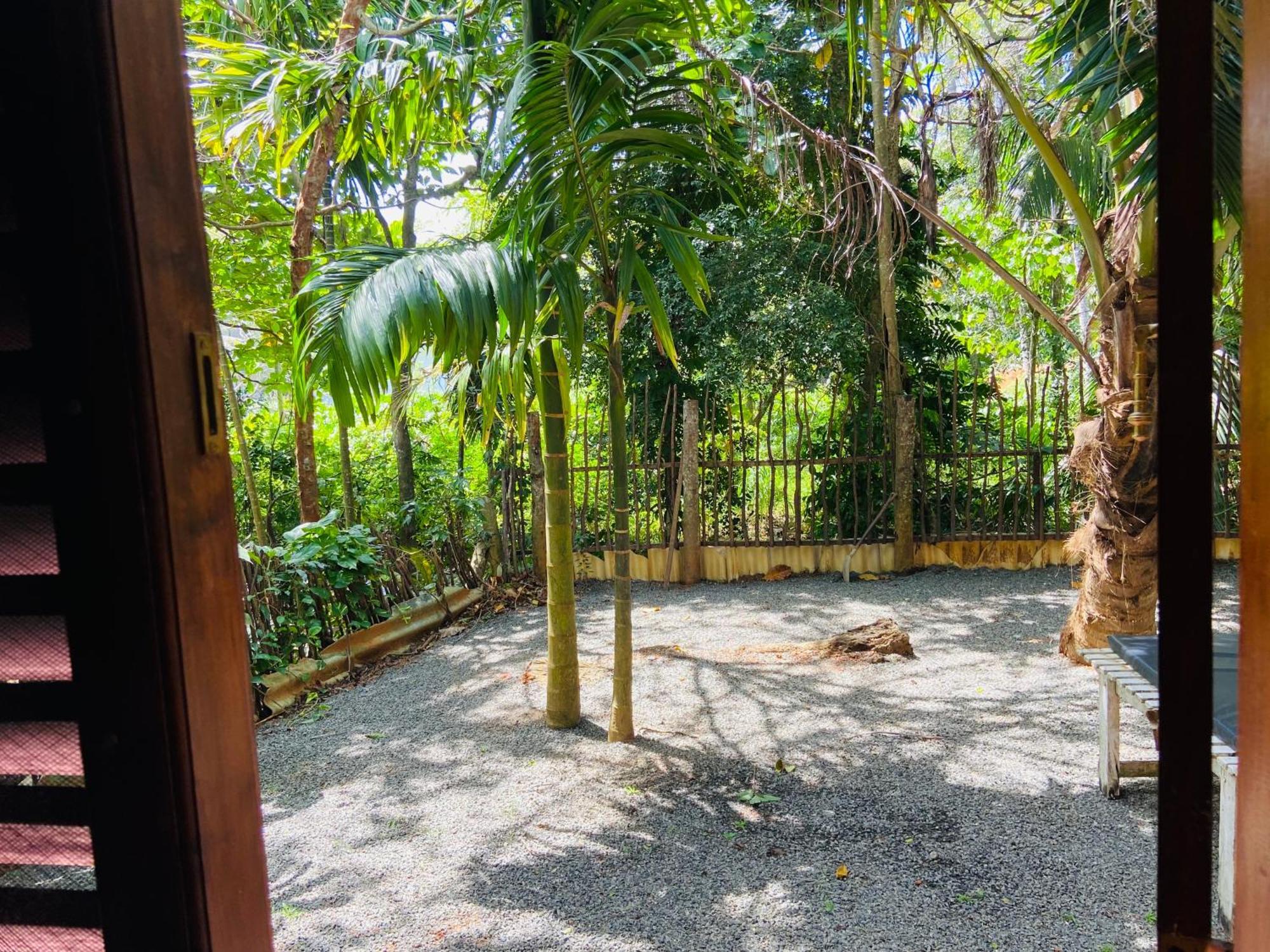 Leo Homestay Dikwella Exteriér fotografie