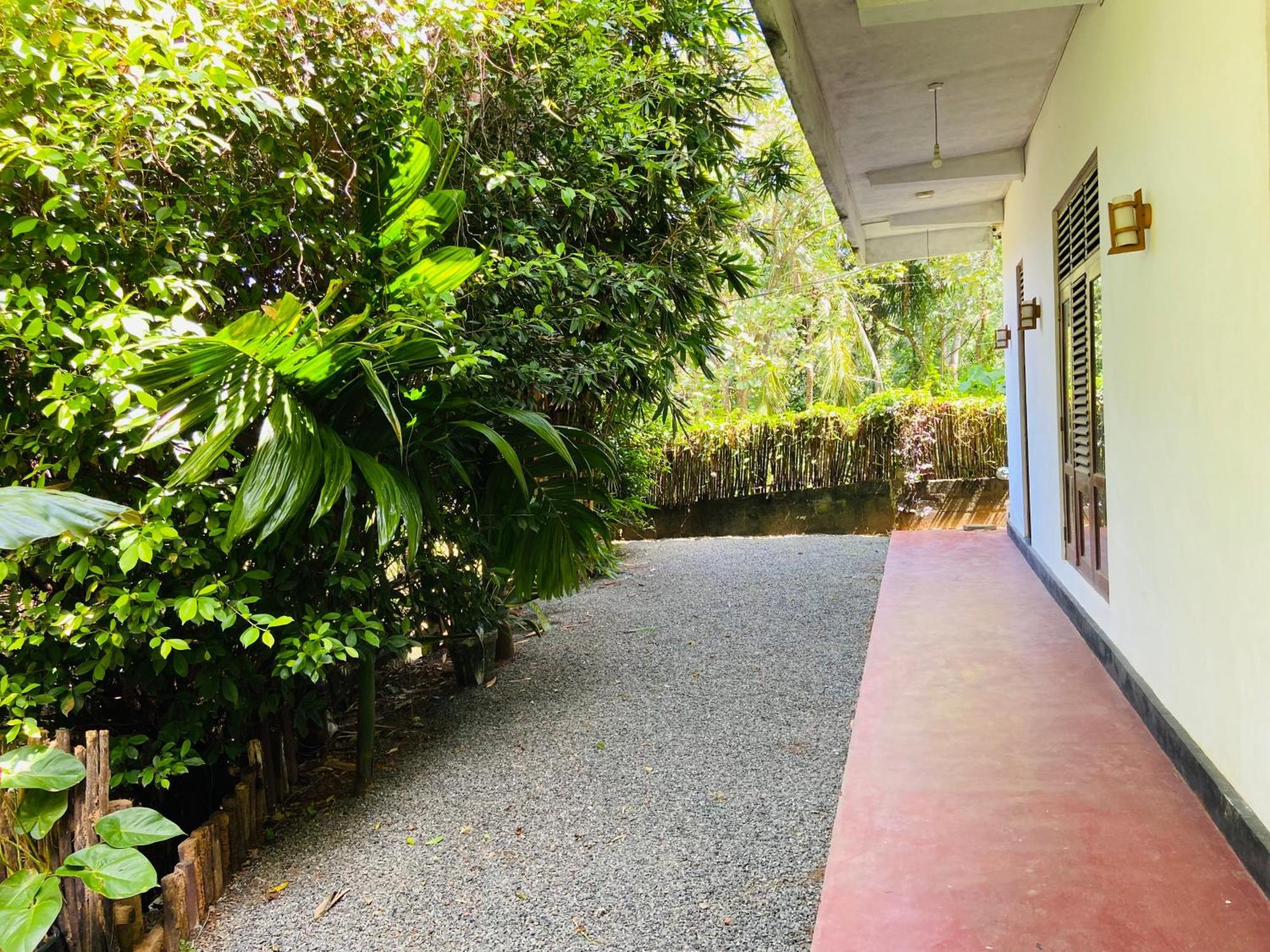Leo Homestay Dikwella Exteriér fotografie