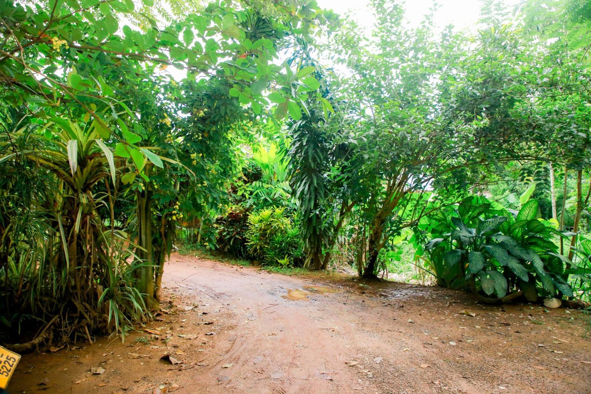 Leo Homestay Dikwella Exteriér fotografie