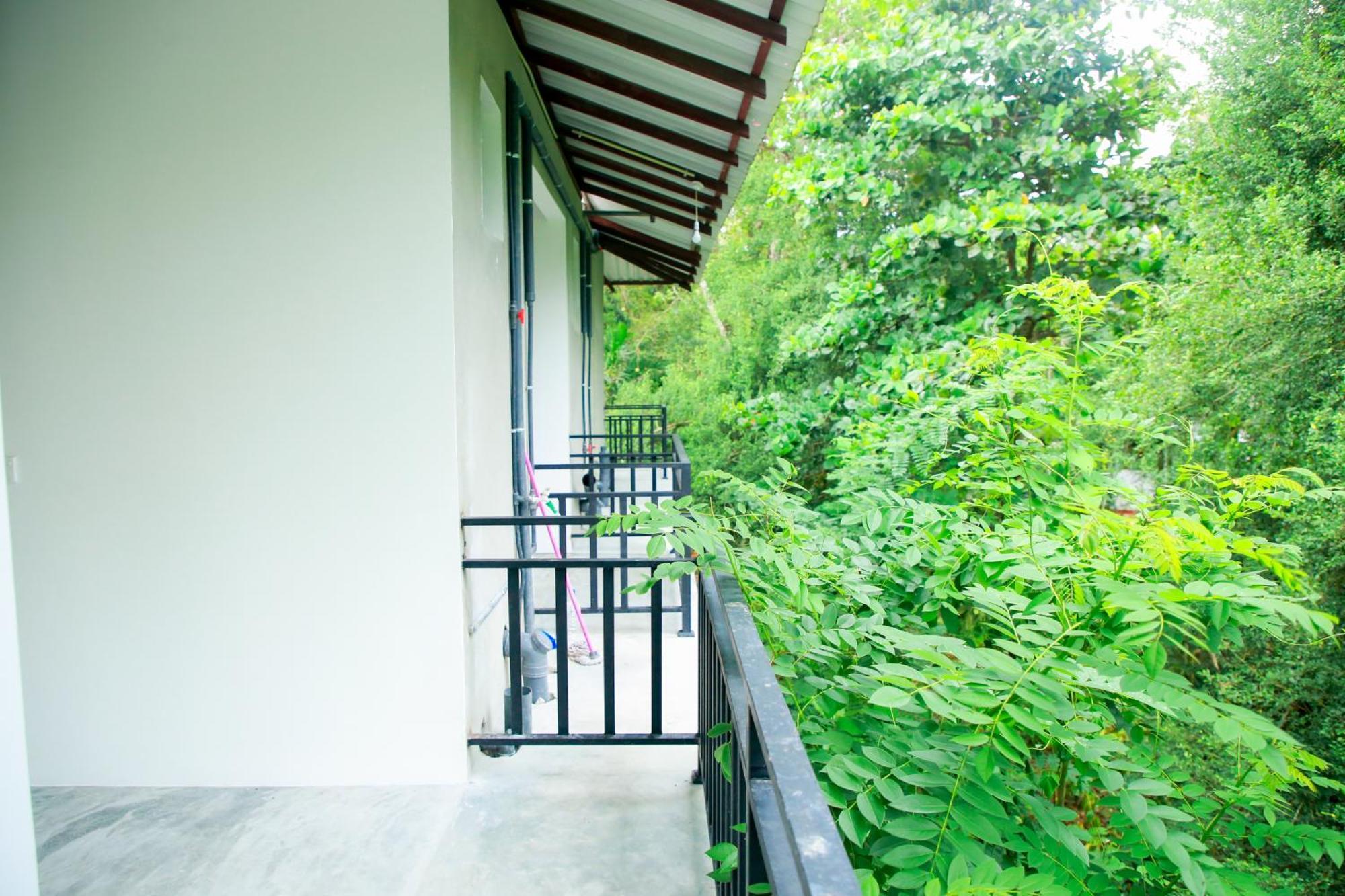 Leo Homestay Dikwella Exteriér fotografie